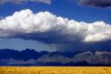Cool Colorado Rain