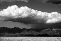 Cool Colorado Rain BW