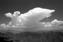 Distant Rain BW