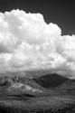 The Coming Storm BW