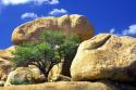 Texas Canyon Rocks II