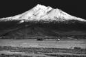 Shasta County Spring BW