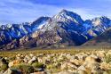 Mt. Williamson II