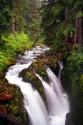 Sol Duc River Falls