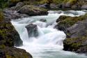 Salmon Cascades