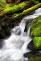Trailside Waterfall III