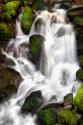 Trailside Waterfall IV