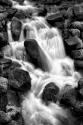 Trailside Waterfall I BW
