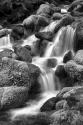 Trailside Waterfall II BW