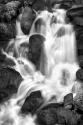 Trailside Waterfall IV BW