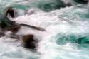 Hamma Hamma Current II