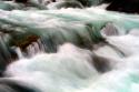 Hamma Hamma Current IV