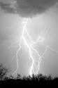 Dancing Lightning BW