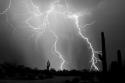 Electrifying BW