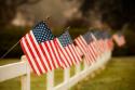 Flags I