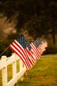 Flags II