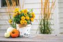 Autumn Mums II
