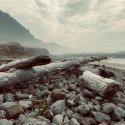 Rocky Shoreline I