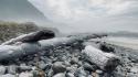 Rocky Shoreline II