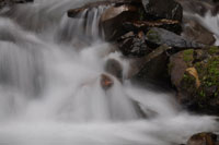 Stream Falls I