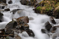 Stream Falls II