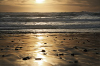 Golden Sunset
