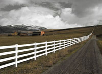 Road to Eternity