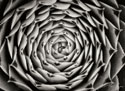 Floral Labyrinth I