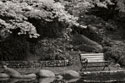 Autumn Trio I B&W