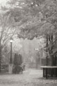Fall Plaza III B&W