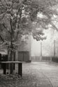 Fall Plaza IV B&W