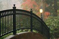 Bridge of Light II