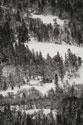 Winter Mosaic I