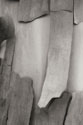 Madrone Mozaic I BW