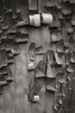Menzanita Mozaic II BW