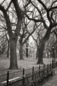Central Park Dancers I