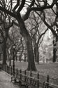 Central Park Dancers II