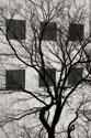 Cityscape I