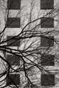 Cityscape II