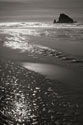 Seashore Serenity I BW