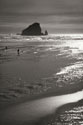 Seashore Serenity II BW