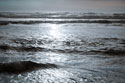 Golden Ocean I