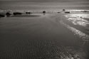 Seashore Serenity III BW