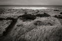 Coastal Spirit II