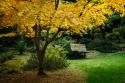 Contemplation I