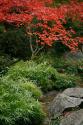 Fall Abundance III