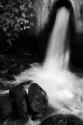 Tuscan Falls