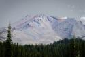 Shasta Majesty I