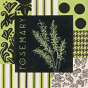 Herbal Zest I