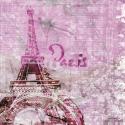 Lavender Paris